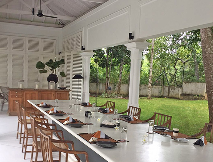 Huge dining table, lunch