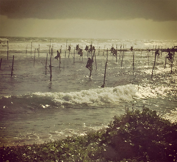 Stilt fishermen in Weligama, fishing
