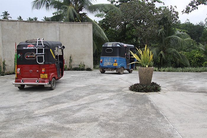 Tuk Tuks taxis in Sri Lanka