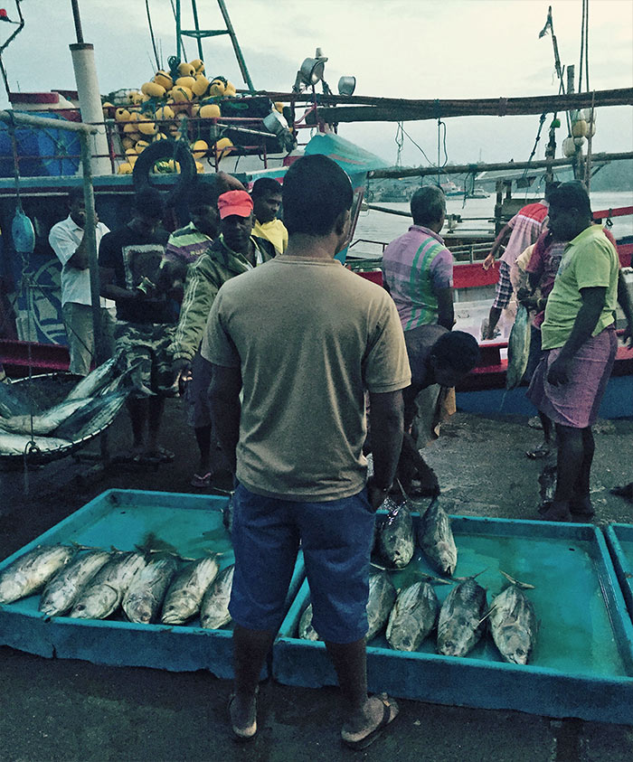 Fresh fish