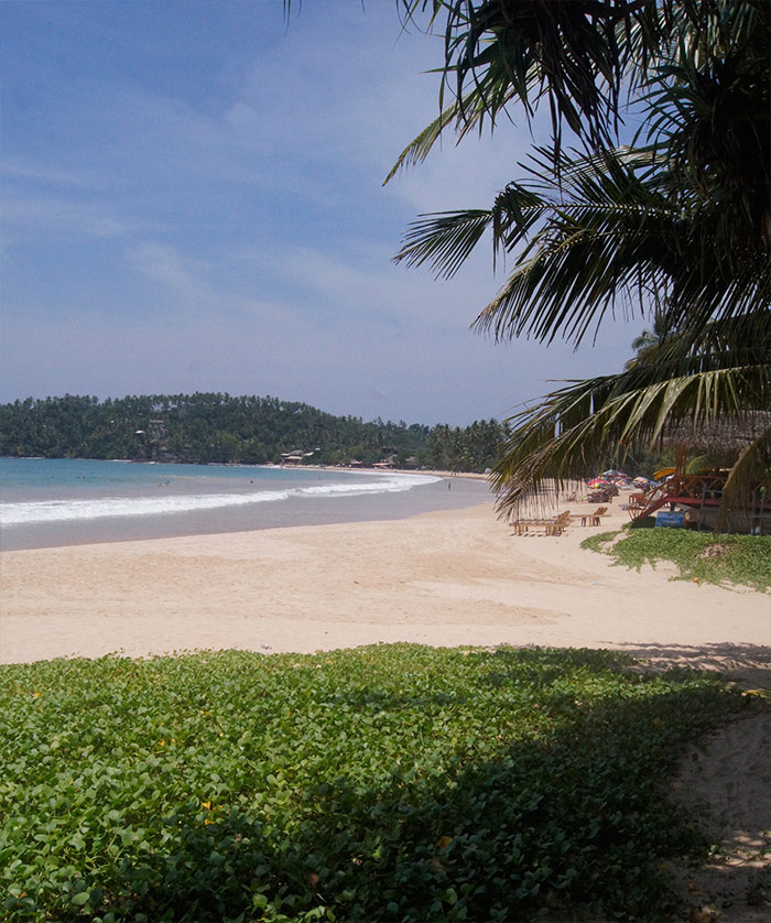 Mirissa Beach SriLanka